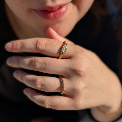 Anillo Origen
