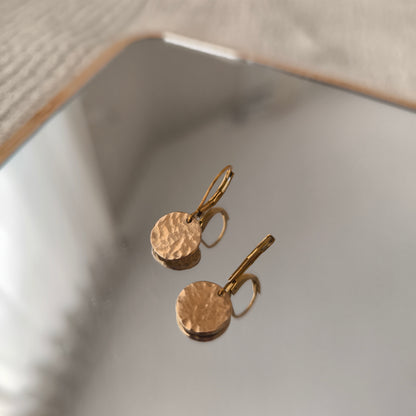 Pulse Earrings