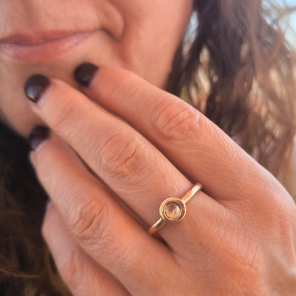 Anillo Órbita