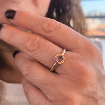 Anillo Órbita