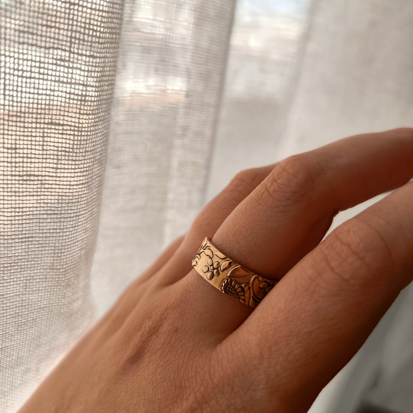 Anillo Trama